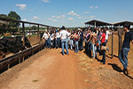 Aula Prática Fazenda Bela Vista - Medicina Veterinária