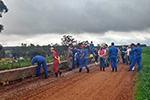 Dia de campo Medicina Veterinária - Anápolis/GO