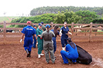 Dia de campo Medicina Veterinária - Anápolis/GO