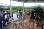 Aula Prática Veterinária - Expo Parque Inhumas/GO