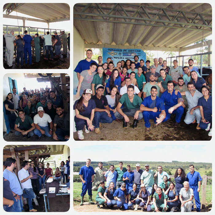 Aula prática Embriotec - Medicina Veterinária