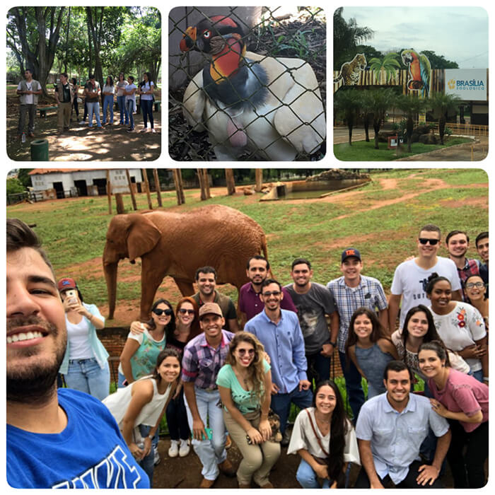 Visita técnica Medicina Veterinária - Zoológico de Brasília