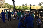 Dia de Campo Leopoldo de Bulhões/GO - Medicina Veterinária