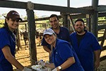 Dia de Campo Leopoldo de Bulhões/GO - Medicina Veterinária