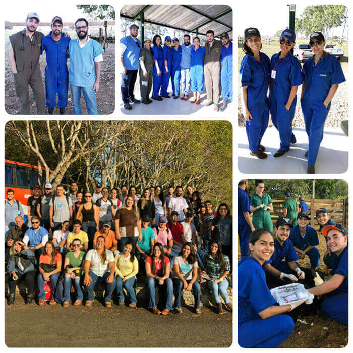 Dia de campo Hidrolândia/GO - Medicina  Veterinária