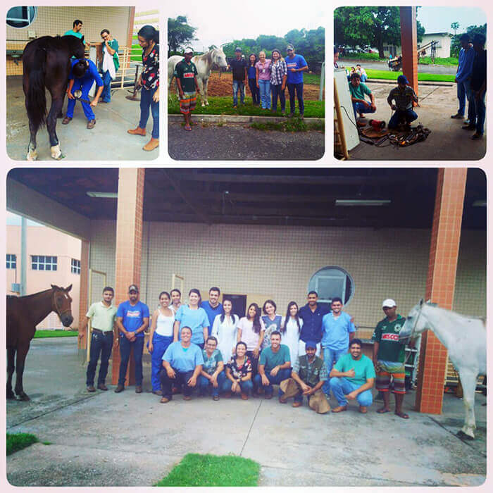 Ação Social HVet - Clínica Veterinária
