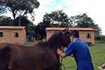 Dia de Campo - Medicina Veterinária