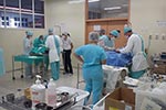 Campanha de esterilização em Animais de Companhia - Hospital Veterinário