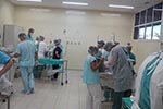 Campanha de esterilização em Animais de Companhia - Hospital Veterinário