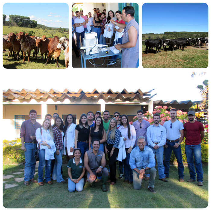 Aula prática Medicina Veterinária - Embriotec  Anápolis/GO
