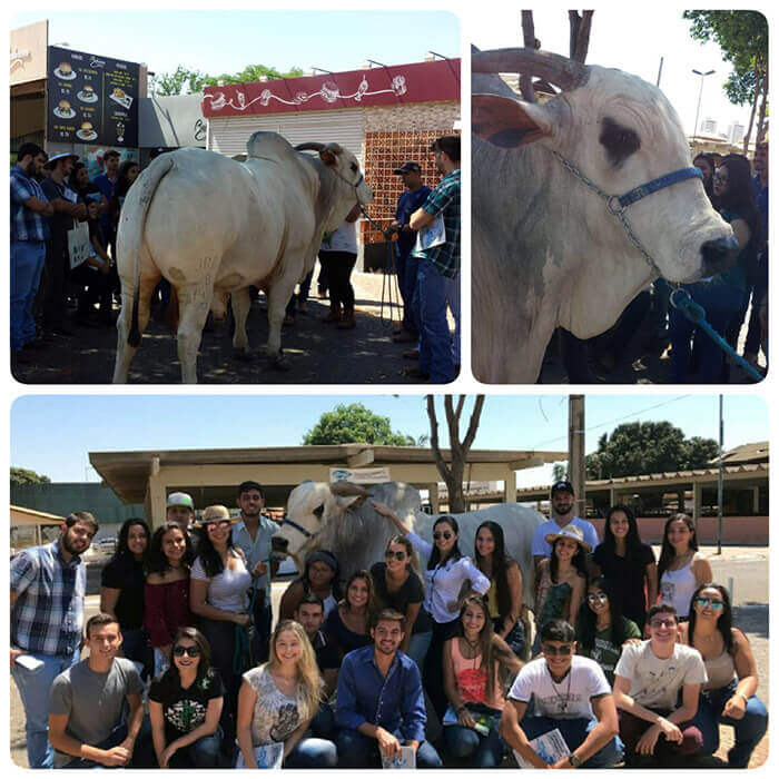 Aula prática Medicina Veterinária - Goiás  Genética 2017