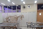 Clínica Veterinária - HVet